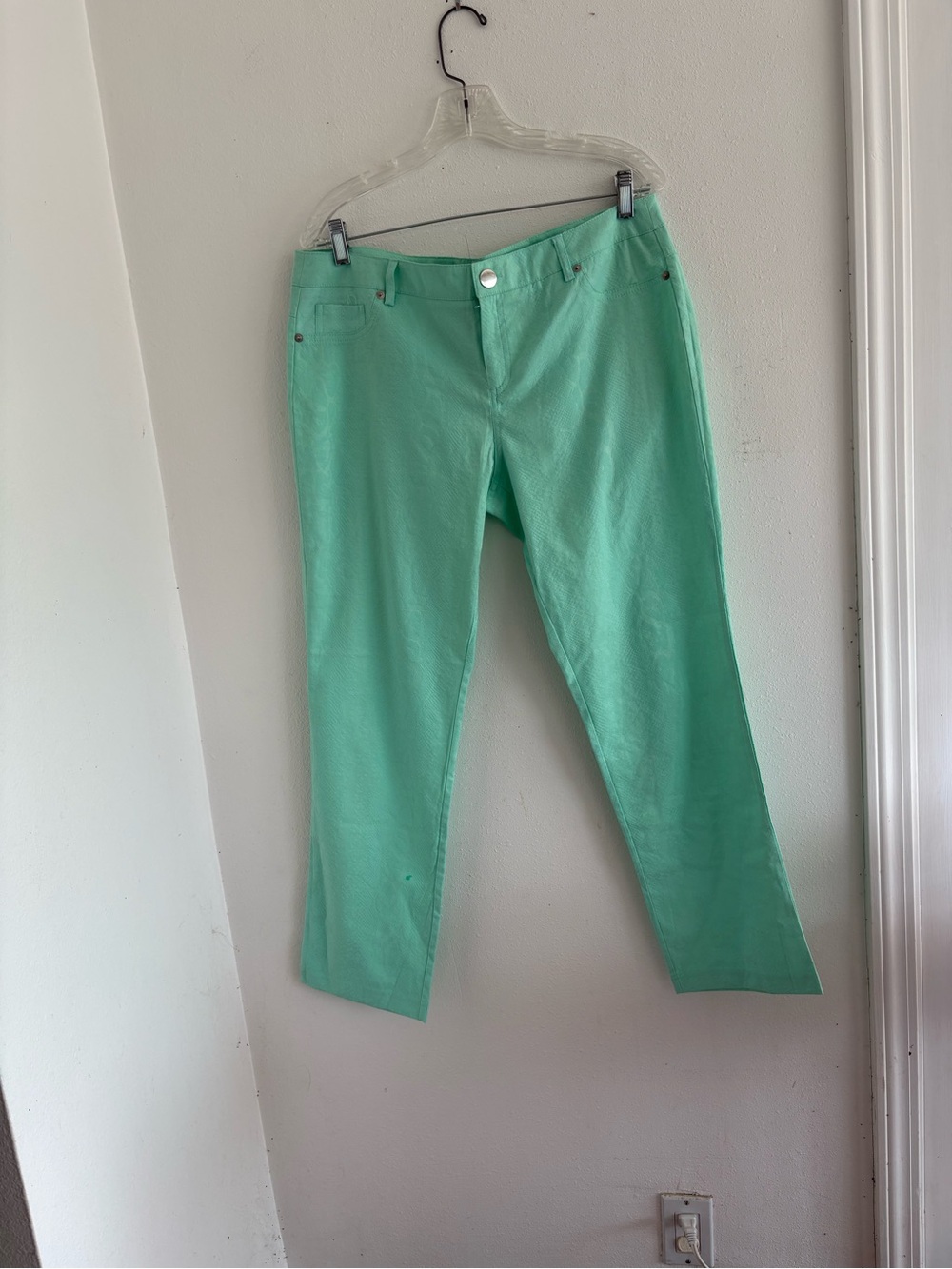 Flirtatious mint green stretch pants size 13